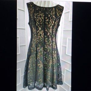 NWT Sz 12 Connected Black Lacey Midi Dress